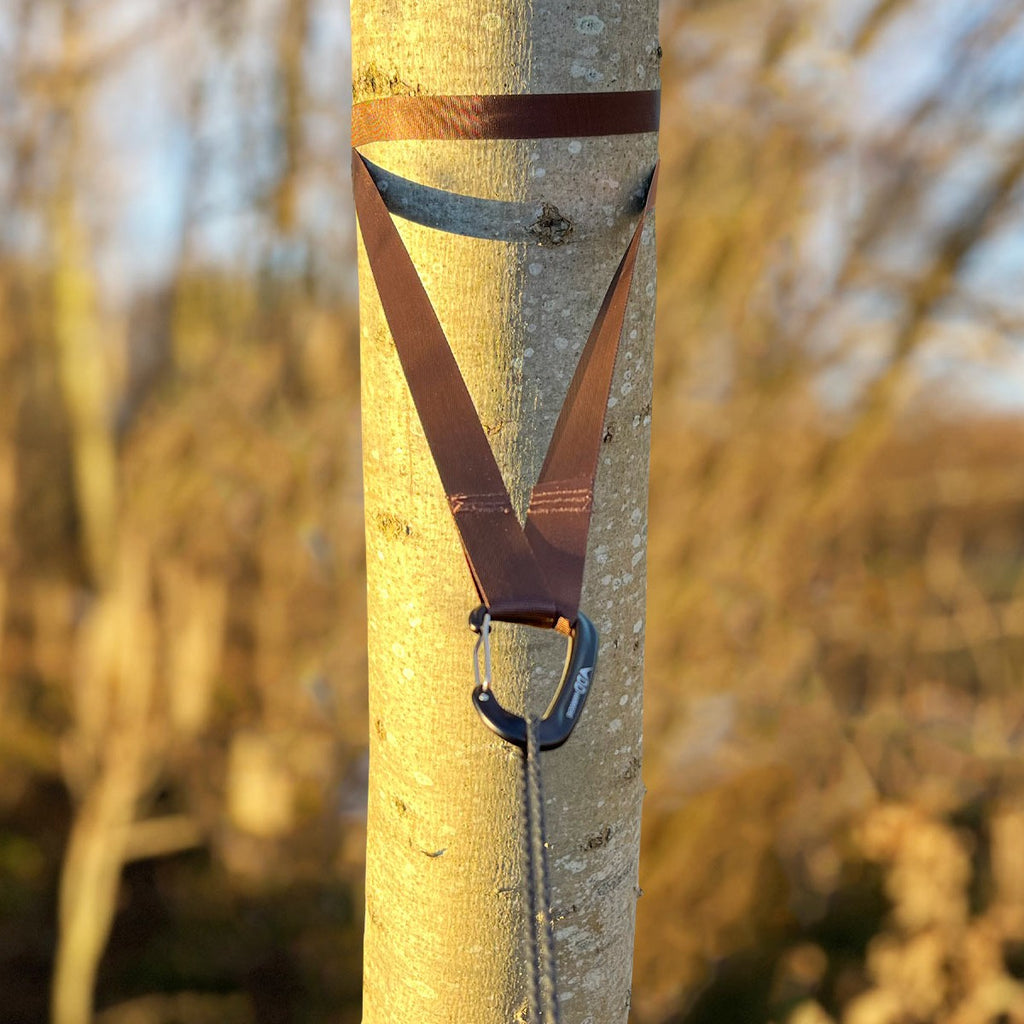 Sort DD-karabiner i løkken på en brun trestropp rundt et tre, med opphenget under