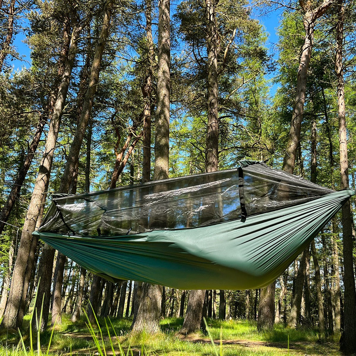 DD SuperLight Frontline Hammock med myggnett hengt mellom furutrær i sol