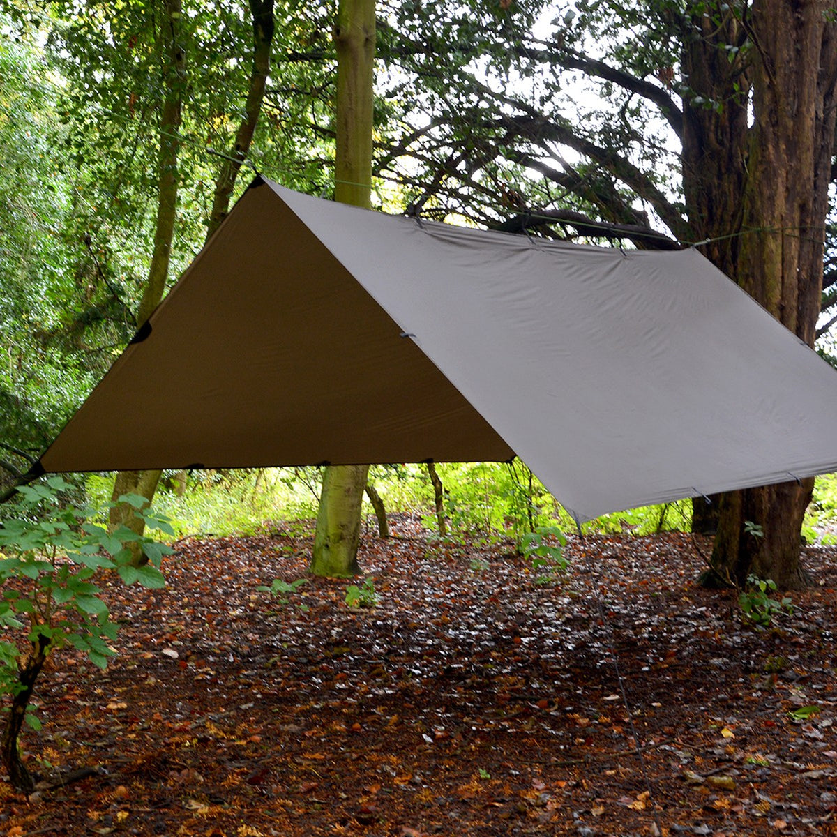 DD SuperLight Tarp i Coyote Brown satt opp som tak mellom trærne i en løvskog
