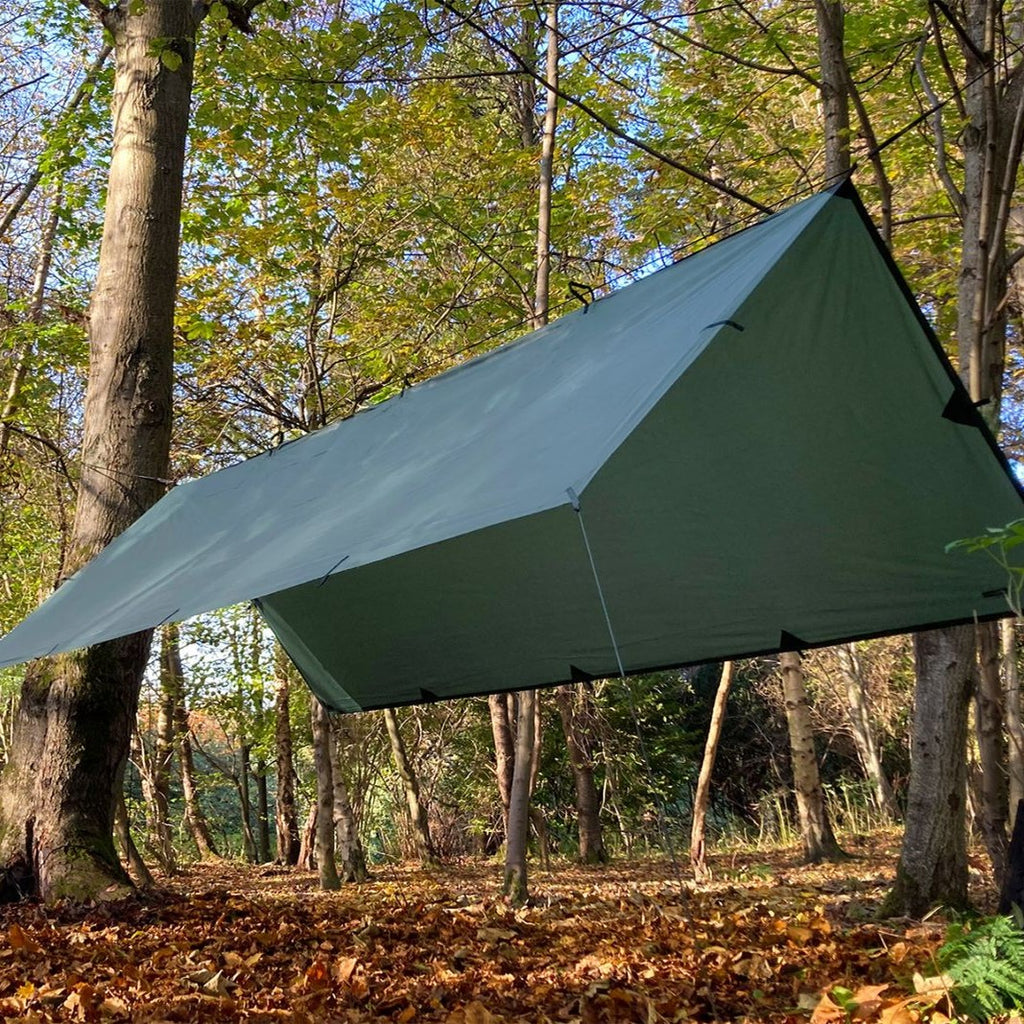 DD Tarp XL i Olivengrønn spent opp som tak høyt mellom trærne i en høstskog